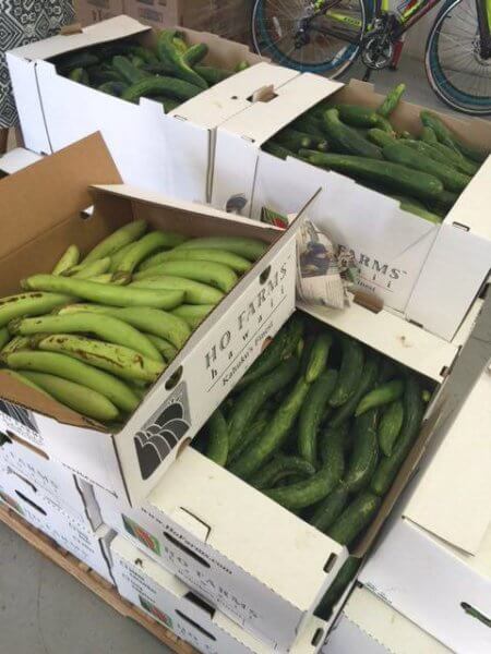 Fresh vegetables ready for donations to Hawaii's hungry.