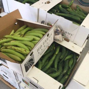 Fresh vegetables ready for donations to Hawaii's hungry.