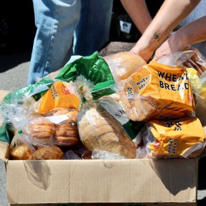 Rescued food from the KCC Farmers Market